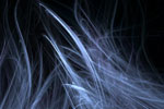 Cilia Fractal Wallpaper