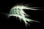 Bridge Fractal Wallpaper