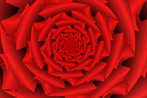 Andi's Fractal Rose
