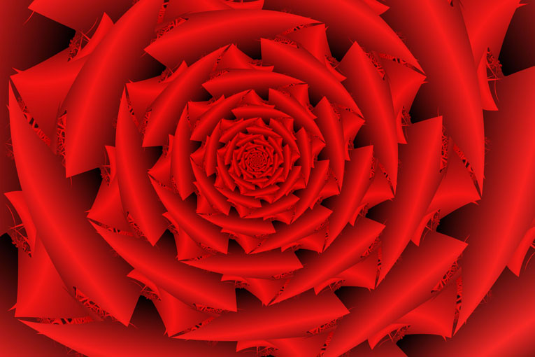 Andi's Rose - Ribbon Fractal