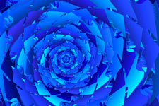 Bladeflower Fractal
