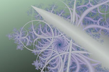 Capillaries Fractal