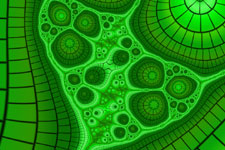 Chlorophyl Cells Fractal