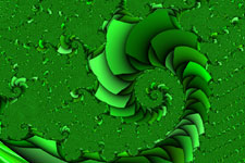 Fern Leaf Spiral Fractal
