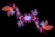 Flower Bug Fractal2