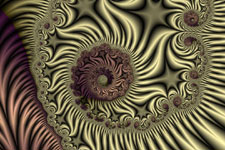 Goldflower Fractal Spiral