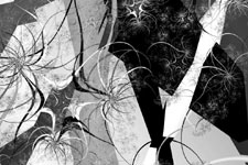 Fractal Plankton Fractal