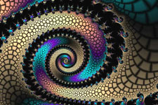 Julia Fractal 7