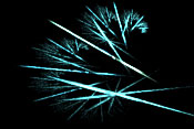 Linear Fractal Flame