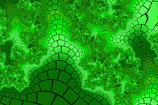 Lizard Skin Fractal