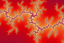 Mandelbrot Fractal 14