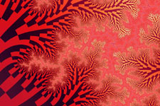 Mandelbrot Fractal 15