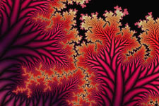 Mandelbrot Fractal 5