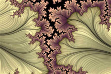 Mandelbrot Fractal 6
