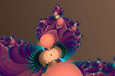 Peacock Tail Fractal