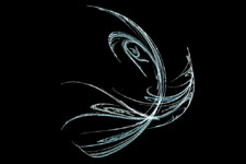 Fractal Art Phoenix