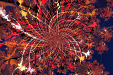 Jackson Pollock Fractal #5