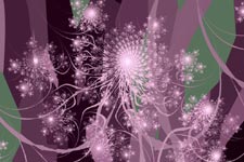 Queen Anne's Lace Fractal