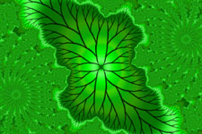 Rauli Leaf Fractal
