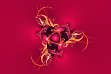 Red Fractal Bug