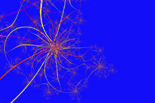 Red & Yellow Web Fractal