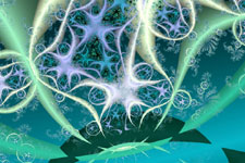 Ring Plankton Fractal