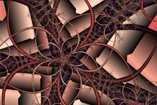Starfish Ribbons Fractal