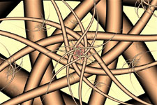Starfish Ribbons Fractal