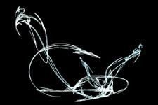Fractal Art Swan