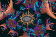 Thorn Garden Fractal